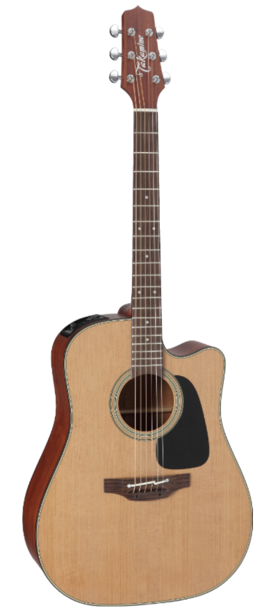 Takamine Pro Series P1DC