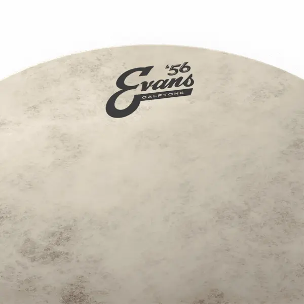 Evans 14" Calftone Drumhead - Image 2