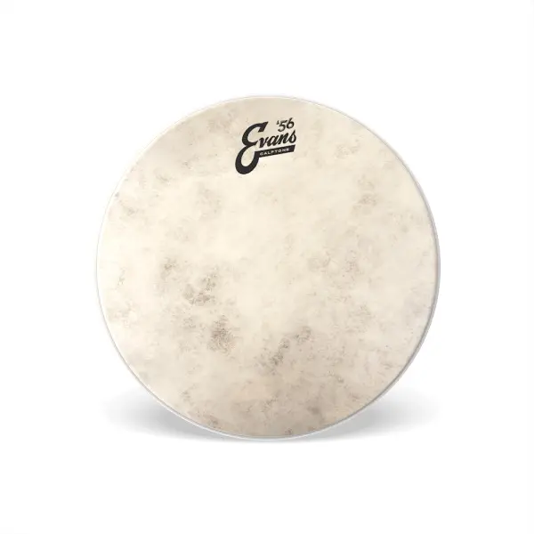 Evans 14" Calftone Drumhead