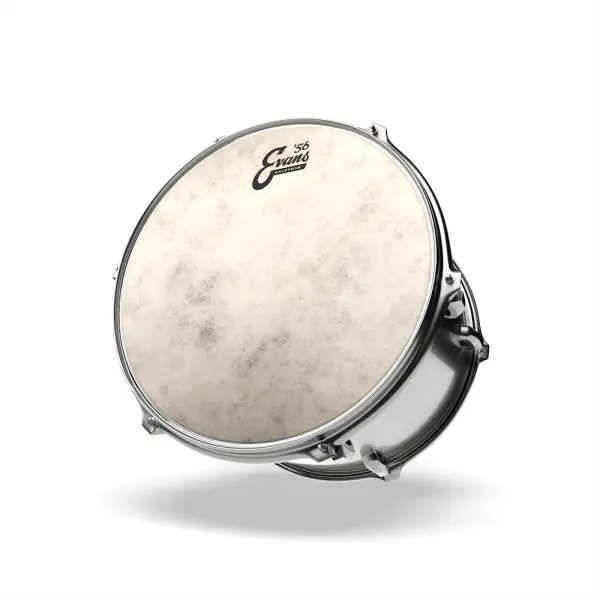 Evans 14" Calftone Drumhead - Image 3