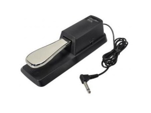 Boston BFS-40 Sustain Pedal