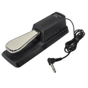 Boston BFS-40 Sustain Pedal