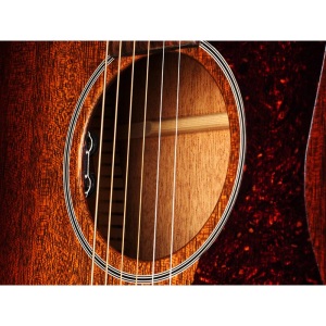 Guild USA D-20