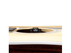 D'addario NS Micro Soundhole Tuner