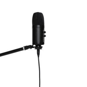Stagg SUSM60D USB Condenser Microphone