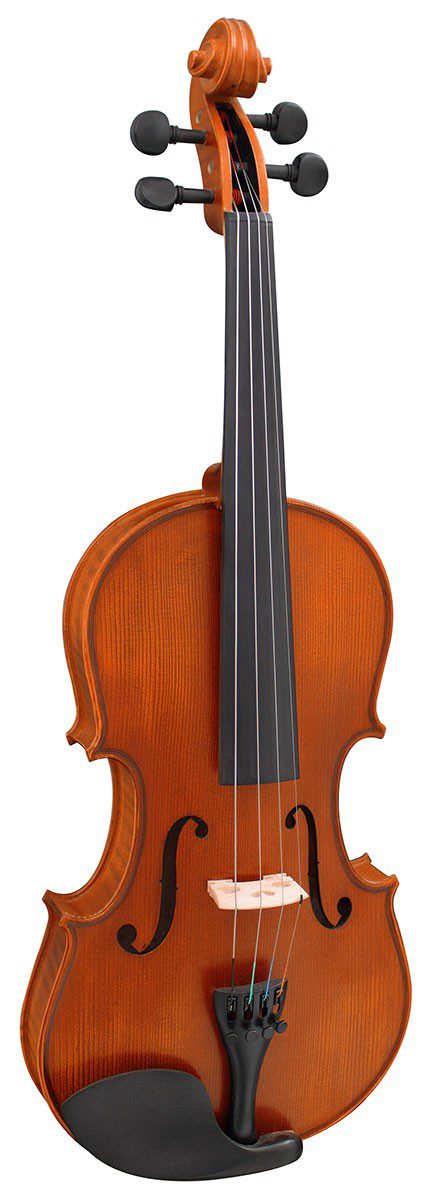 Hidersine Viviente 3/4 Violin Outfit - Image 3