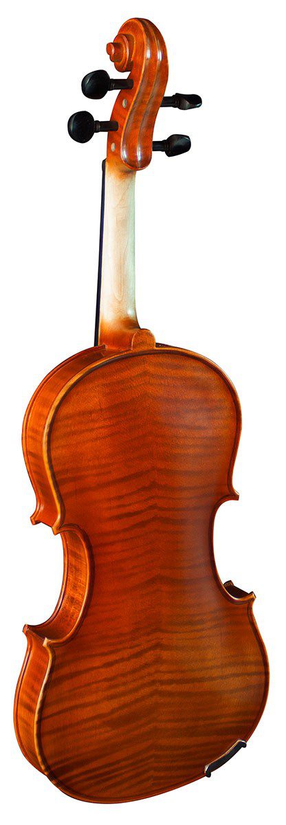 Hidersine Viviente 1/2 Violin Outfit - Image 2