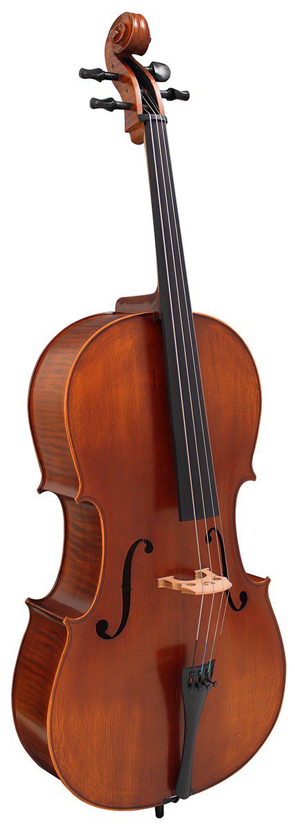 Hidersine Viviente 4/4 Cello Outfit