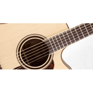 Takamine Pro Series P4DC