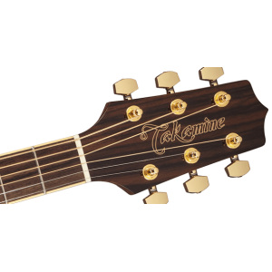 Takamine GD51CE-BSB