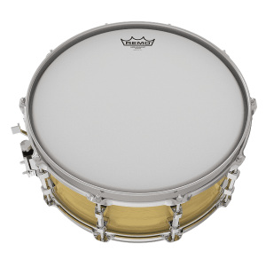 Remo 14" Ambassador Coated