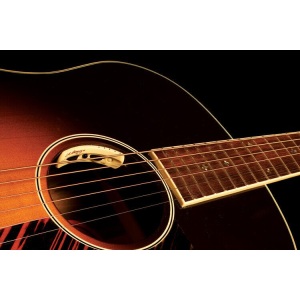 LR Baggs Anthem Acoustic Guitar Pickup w/Microphone