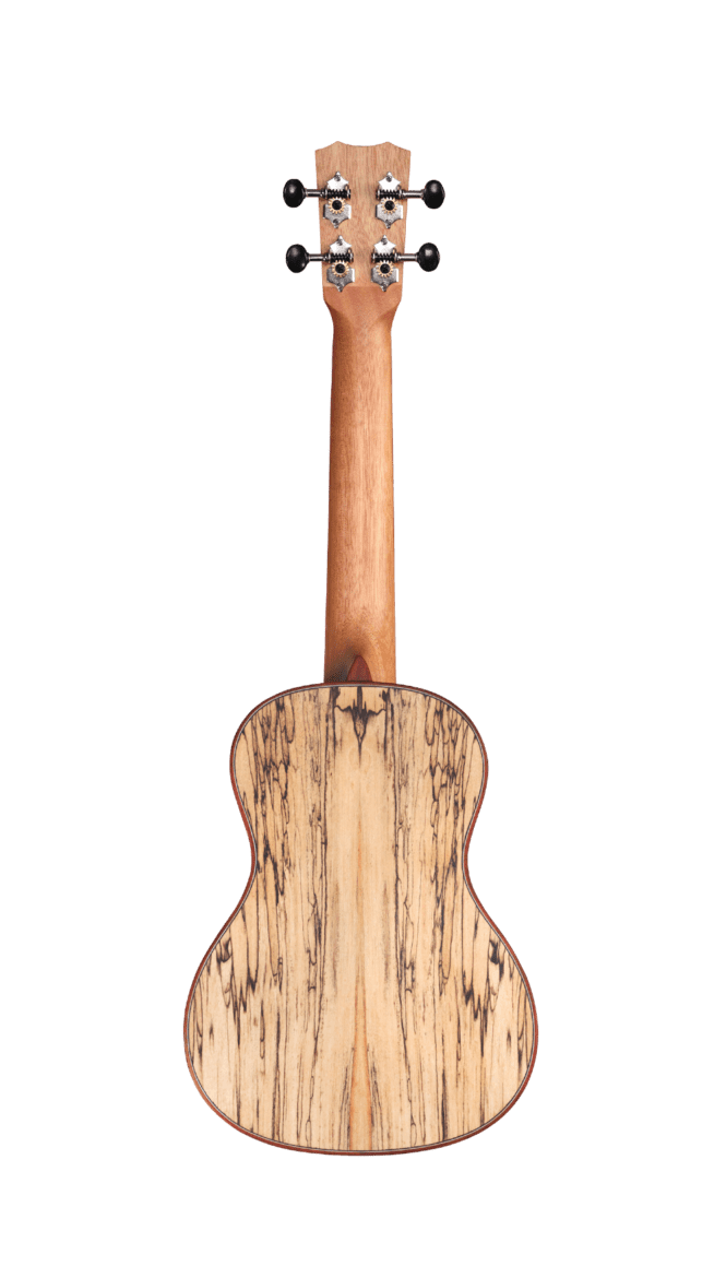 Cordoba 24C Concert Ukulele - Image 4