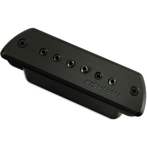 Fishman Blackstack Soundhole Pickup