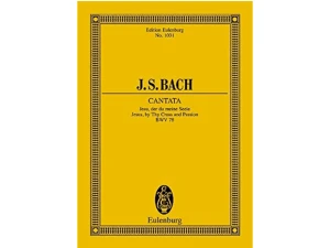 J.S. Bach Cantata Jesu Der Meine Seele - No. 1031 Study Score