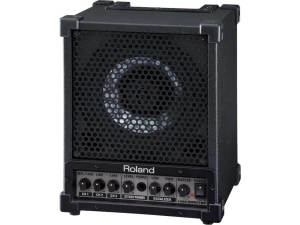 Roland CM-30 Cube Monitor