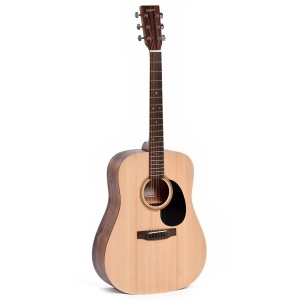 Ditson D-10 Dreadnought Acoustic