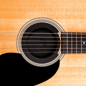 D'addario Screeching Halt Soundhole Plug