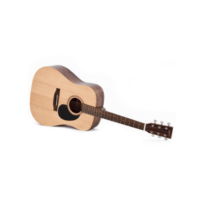 Ditson D-10 Dreadnought Acoustic