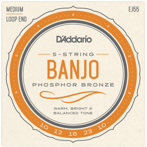 D'addario EJ55 PB Loop-End (.10-.23) 5-String Banjo