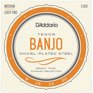 D'addario EJ63 Tenor (.09-.30) 4-String Banjo