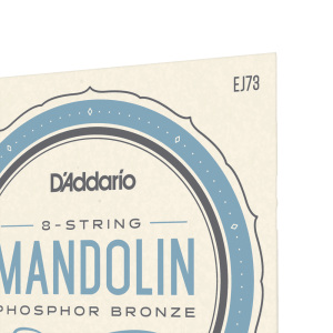 D'addario EJ73 PB Mandolin (.10-.38) Light - Loop End