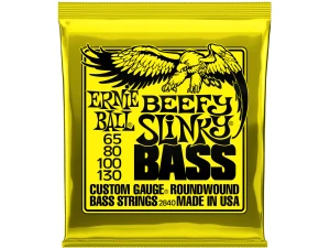 Ernie Ball Beefy Slinky Bass Srtings