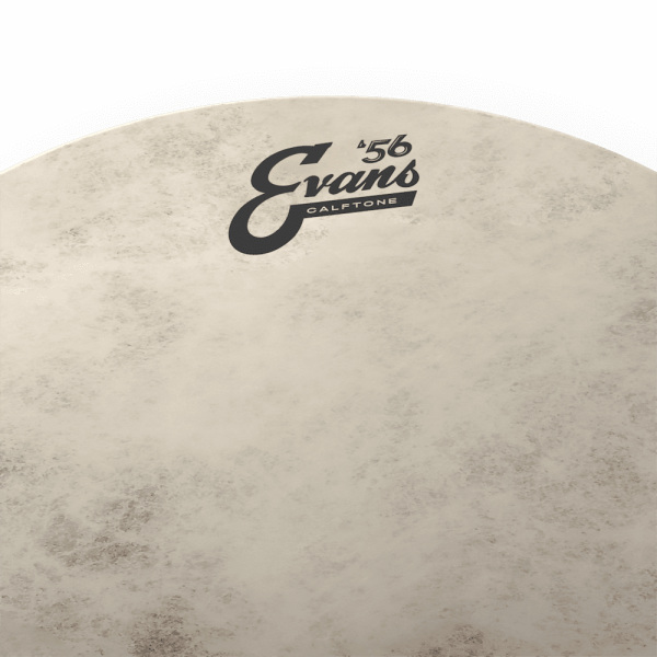 Evans 12" Calftone Drumhead - Image 3