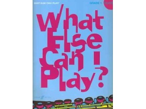 What Else Can I Play? Flute Grade 1 