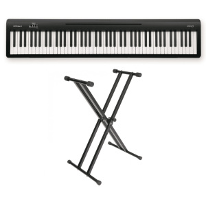 Roland FP-10 w/Double Braced Keyboard Stand