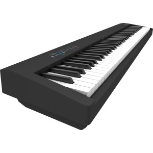 Roland FP-30X BK Digital/Stage Piano + Double Braced Keyboard Stand