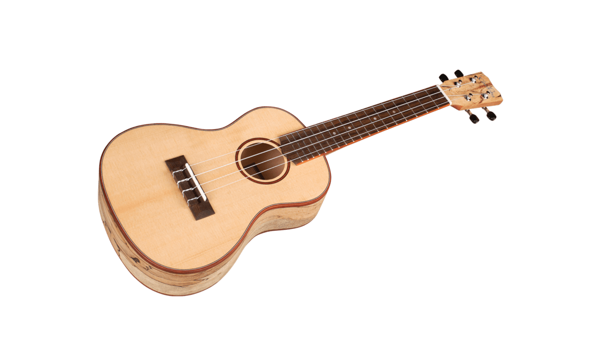 Cordoba 24C Concert Ukulele - Image 2