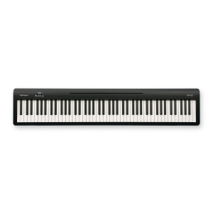 Roland FP-10 Digital/Stage Piano