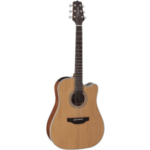 Takamine GD20CE-NAT