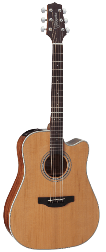 Takamine GD20CE-NAT
