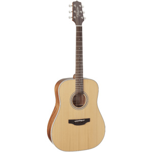Takamine GD20-NAT