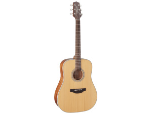 Takamine GD20-NAT