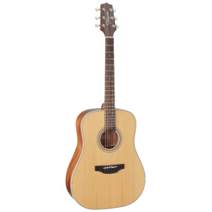 Takamine GD20-NAT