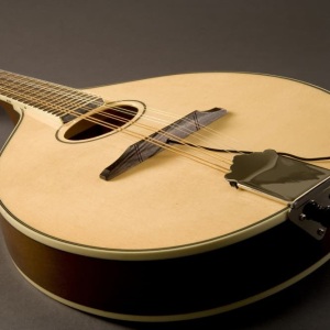 Fishman M-400 Nashville Series Flat Top Mandolin Pickup