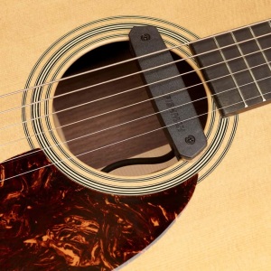 Fishman Neo-D Soundhole Pickup