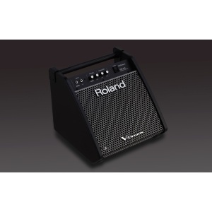 Roland PM-100 Personal Monitor