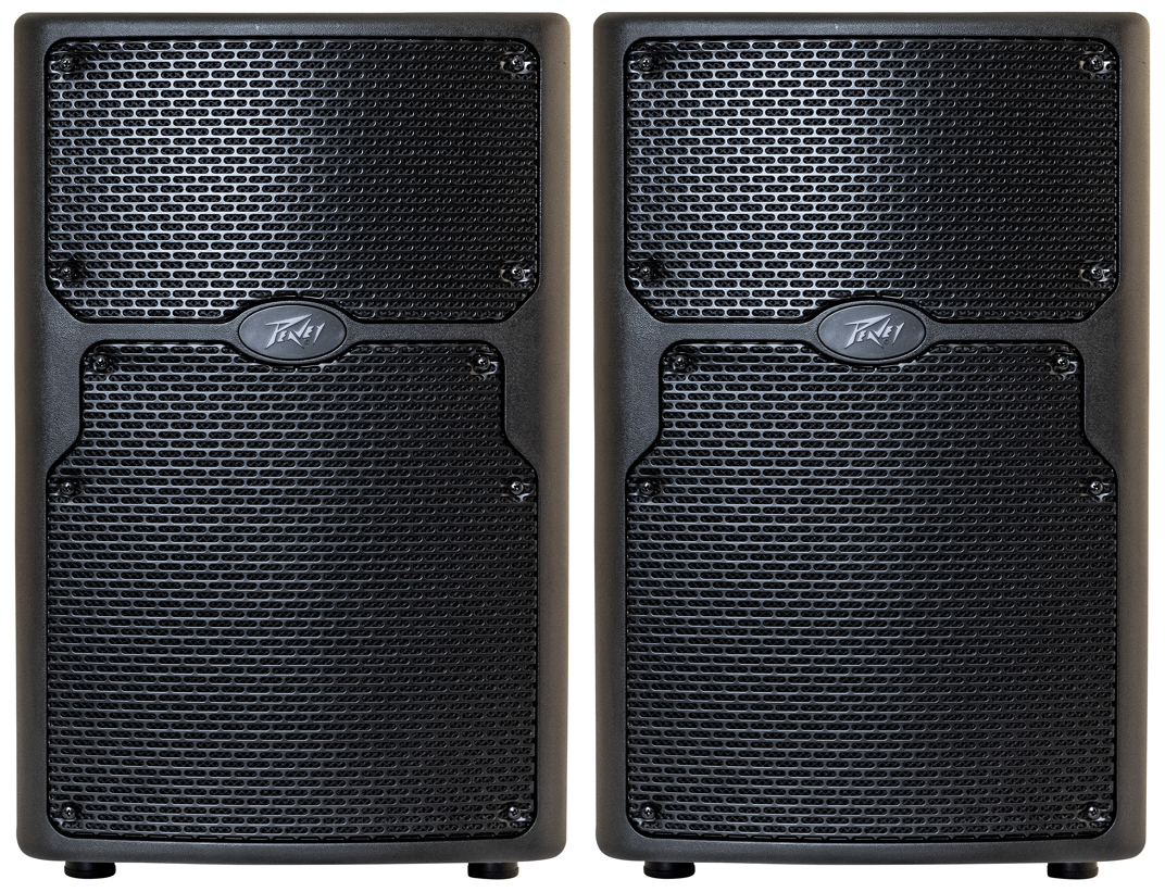 Peavey 10 sale inch pa speakers