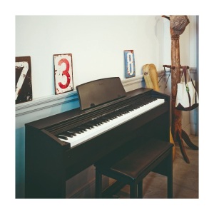 Casio PX-770WE Privia Digital Piano - Black