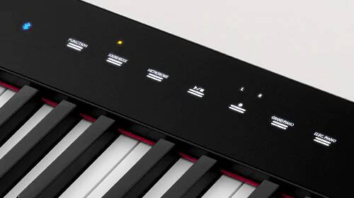 Casio PX-S1000 Privia w/Stand - Image 3