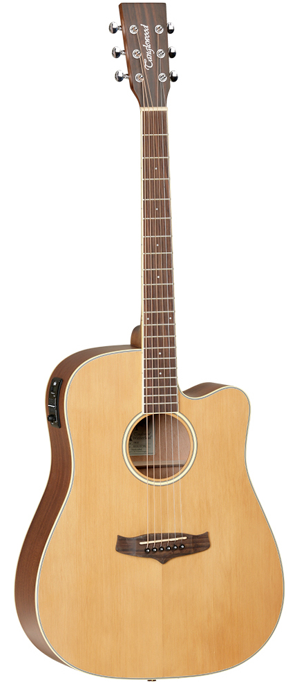 Tanglewood TW10 E