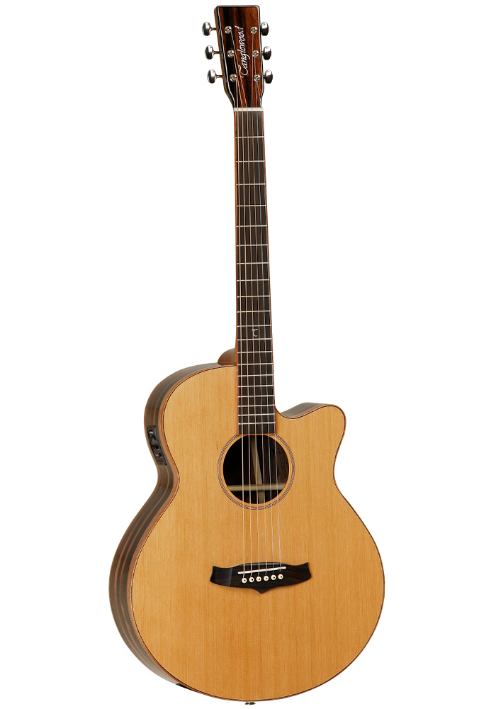 Tanglewood deals winterleaf tw9