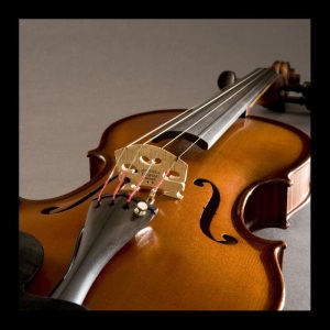 Fishman V-300 Concert Series Violin Pickup