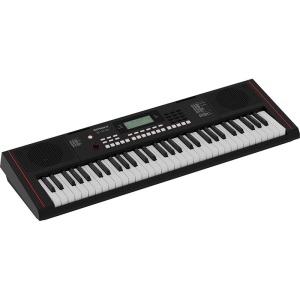 Roland E-X10 61-Note Keyboard w/Keyboard Stand