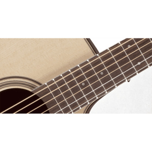 Takamine Pro Series P2DC