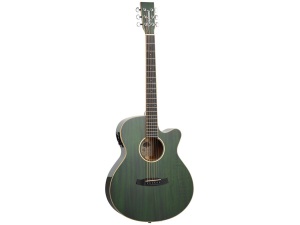 Tanglewood Winterleaf TW4 E FG - Green Gloss